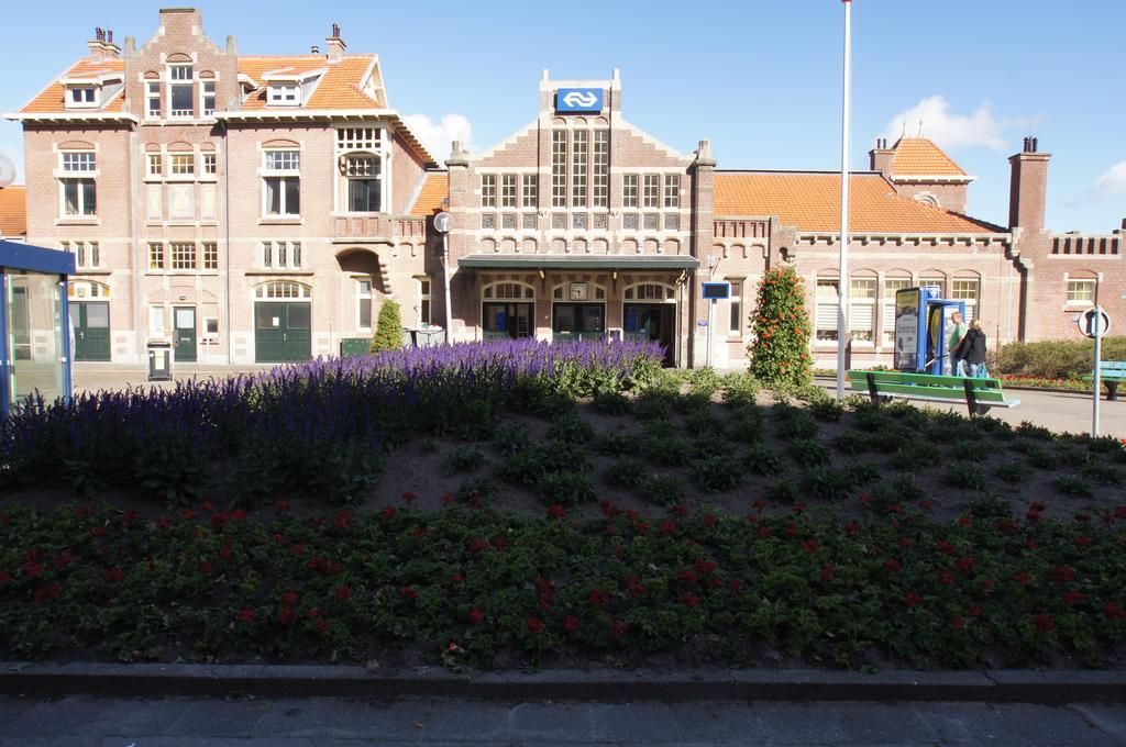 Zomerhuis Aan Zee Zandvoort Værelse billede