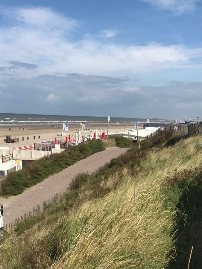 Zomerhuis Aan Zee Zandvoort Eksteriør billede